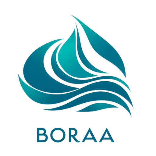 Boraa Solo